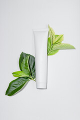 Cosmetic cream for moisturizing and cleansing the face. Cream or face mask in white tubes and leaves of natural plants. White bottle with empty space