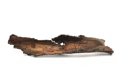 Rotten tree bark isolated on white background, side view