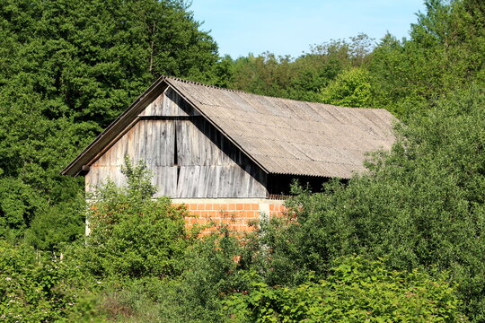 Abandoned dilapidated red building blocks and wooden boards large barn covered with old roof tiles in middle of forest surrounded with tall dense trees on clear blue sky background