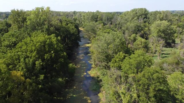 Following creek
