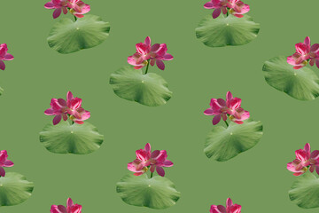 Seamless pattern with pink lotus flowers on a green background.