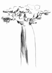 Digital sketch of African baobab tree. Perfect for printing, web, textile design, fashion products.