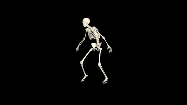 Dancing Skeleton 3D. 3D Skeleton Dance Animation. Skeleton 3D dance. Transparent background.