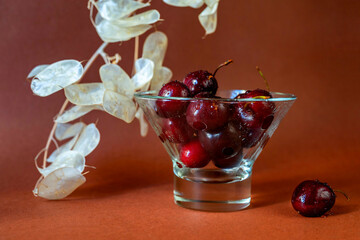 Dark red juicy cherry in glass bowl, dried white flower on orange background.