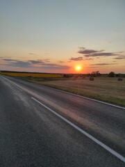 red sunset and a large field of yellow sunflowers