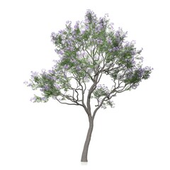 3d render of a tree on white background	