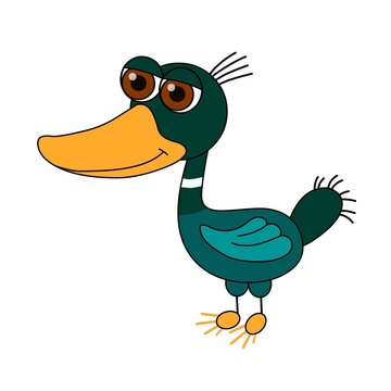 Funny wild duck stands. Character in flat style isolated white background. Duck in bright colors, with a large head. Vector illustration.