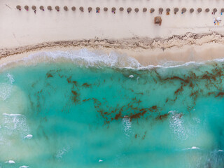 Turquoise sea water and white sandy beach. There is a lot of seaweed near the coast. Combating global warming, protecting the environment. View from above. Aerial photography. Abstraction.