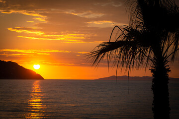 Sonnenuntergang auf Elba Italien mit Palme, Sonne, Meer und Horizont