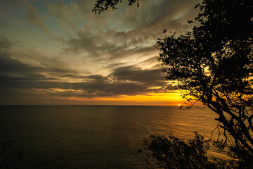 Fototapeta na wymiar Nascer do sol com vista para o mar e silhueta de árvore - Paisagem natural
