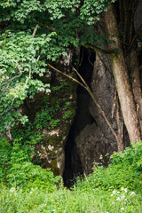 Fototapeta premium The entrance to the cave in the rock with grass in the foreground.