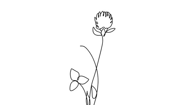 Botanical plants line