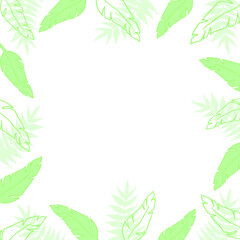 Seamless spring pattern and frames with tropical leaves, flowers and plants. Vector illustration.