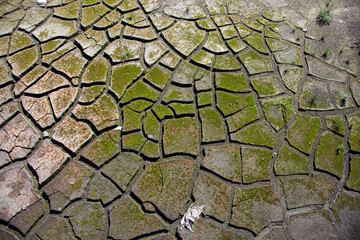 Abstract textures of dried out ground due to drought crisis
