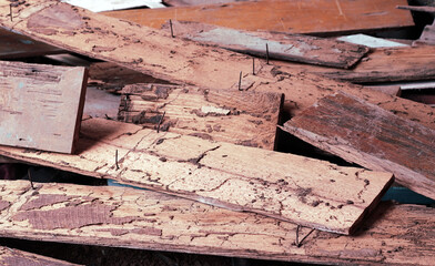 Old pile of wood that termites eat.	