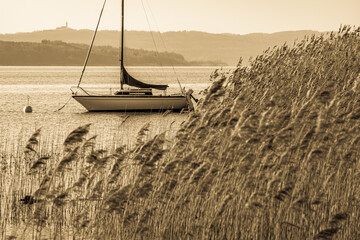 boat at a lake