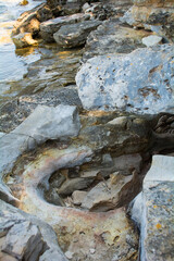Cretaceous limestone formations at Lokvina beach north of Novigrad, on the Adriatic Sea coastline of Istria in Croatia
