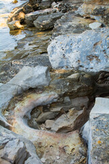Naklejka premium Cretaceous limestone formations at Lokvina beach north of Novigrad, on the Adriatic Sea coastline of Istria in Croatia 