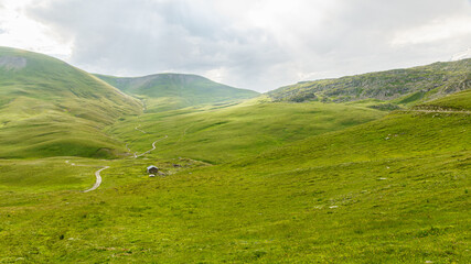 Fototapeta na wymiar Plateau d'Emparis - Isère.