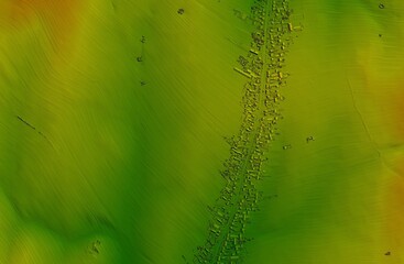 Digital elevation model. GIS product made after proccesing aerial pictures taken from a drone. It shows a narrow village along the road. Narrow farmland meanders perpendicularly away from houses - obrazy, fototapety, plakaty