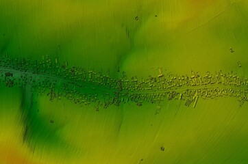 Digital elevation model. GIS product made after proccesing aerial pictures taken from a drone. It shows a narrow village along the road. Narrow farmland meanders perpendicularly away from houses - obrazy, fototapety, plakaty