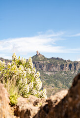 Ausblick auf kanarische Berglandschaft, Roque Nublo und Roque Bentayga bei strahlendem Sonnenschein...