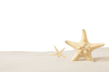 Fototapeta na wymiar Beautiful sea stars in sand on white background