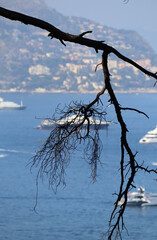 View of the Mediterranean Sea and the French Riviera from the Peninsula of Saint-Jean-Cap-Ferrat