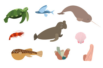 Set of sea animals - turtle narwhale elephant puffer fish shrimp. Undersea world habitants print. Hand drawn underwater life collection. Funny cartoon marine animals character for kid.