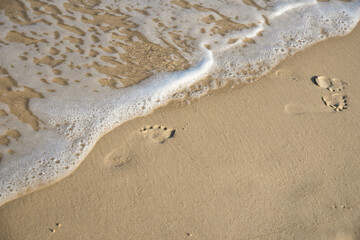 Sea or ocean tropical landscape view. Sea waves under the sun. Summer vacation and travel concept. Water wave surface. Sand beach. 