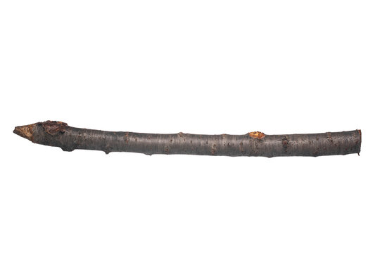 Wooden stake isolated on white background.