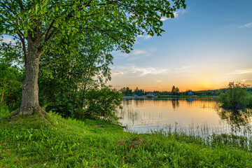Evening landscape with a tree, sunset over the river