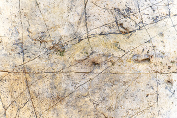  A fragment of a stone surface with a peculiar structure