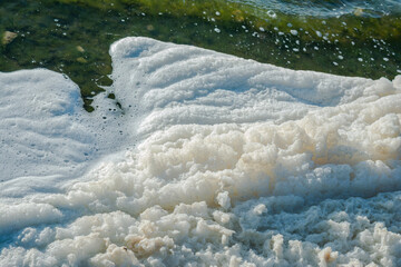 metaphiton a community of organisms, algae, bacteria, detritus, invertebrates and fungi. Converted components to foam. Formation processes in the seas and reservoirs