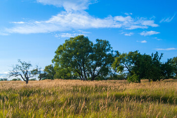 Beautiful summer landscape with blue sky