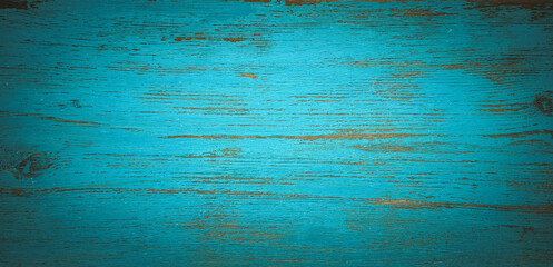 Rectangular texture of a tree painted with blue paint. The shape of the banner,an empty space for the text.