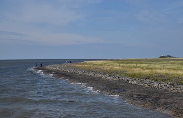 Ufer der Hallig Nordstrandischmoor im Sommer