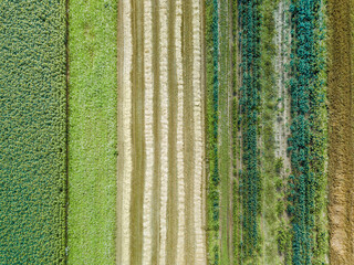 Aerial drone image of fields with diverse crop growth based on principle of polyculture and permaculture - a healthy farming method of ecosystem