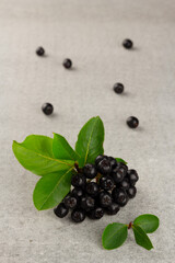 Fresh chokeberry on wooden background. Selective focus