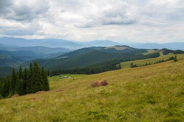 Obraz premium Beautiful mountain landscape in the summer. Green grass, rural road and fantastic sky on background. Carpathian Mountains, Ukraine