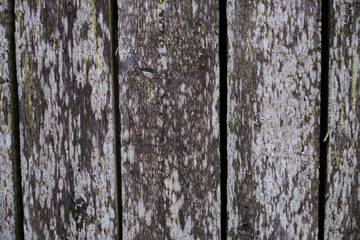 Grunge plank wood texture background close up