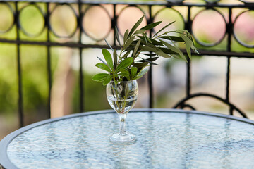Surrealistic flowers - creative wine glass of greenery : olive tree branch and decorative green leaves. The olive branch is a symbol of peace or victory