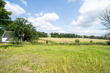 A landscape in Sonsbeek, Arnhem