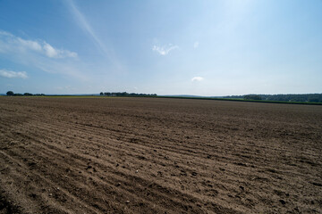 An agricultural field during summer south of Groesbeek
