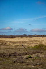 Obraz premium Mountainbiker in nature