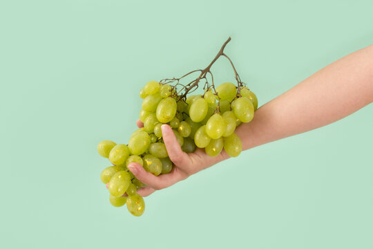 A hand holds a branch of green grapes sprinkled with gold glitter on a mint green background. Minimal autumn concept. - Powered by Adobe