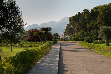 path in the park