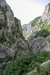 mountain river in the mountains
