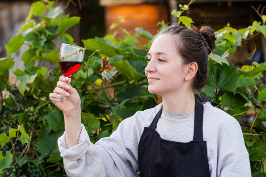 Portrait of young brunette woman winemaker checking the red wine quality on the vineyard at sunset. Small business concept