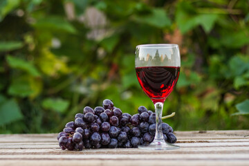 Glass of red wine with a bunch of grapes on wooden background, close up